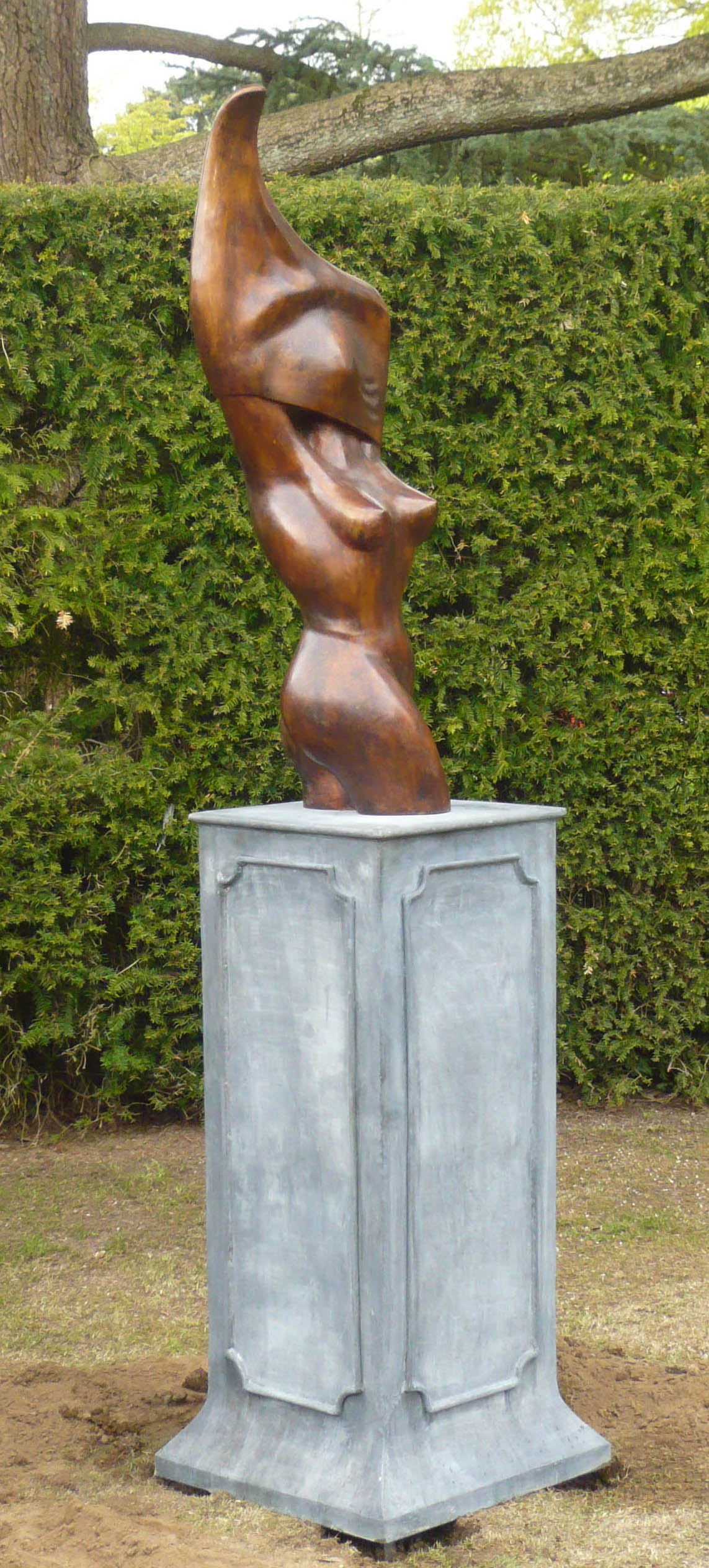 Awakening on plinth2