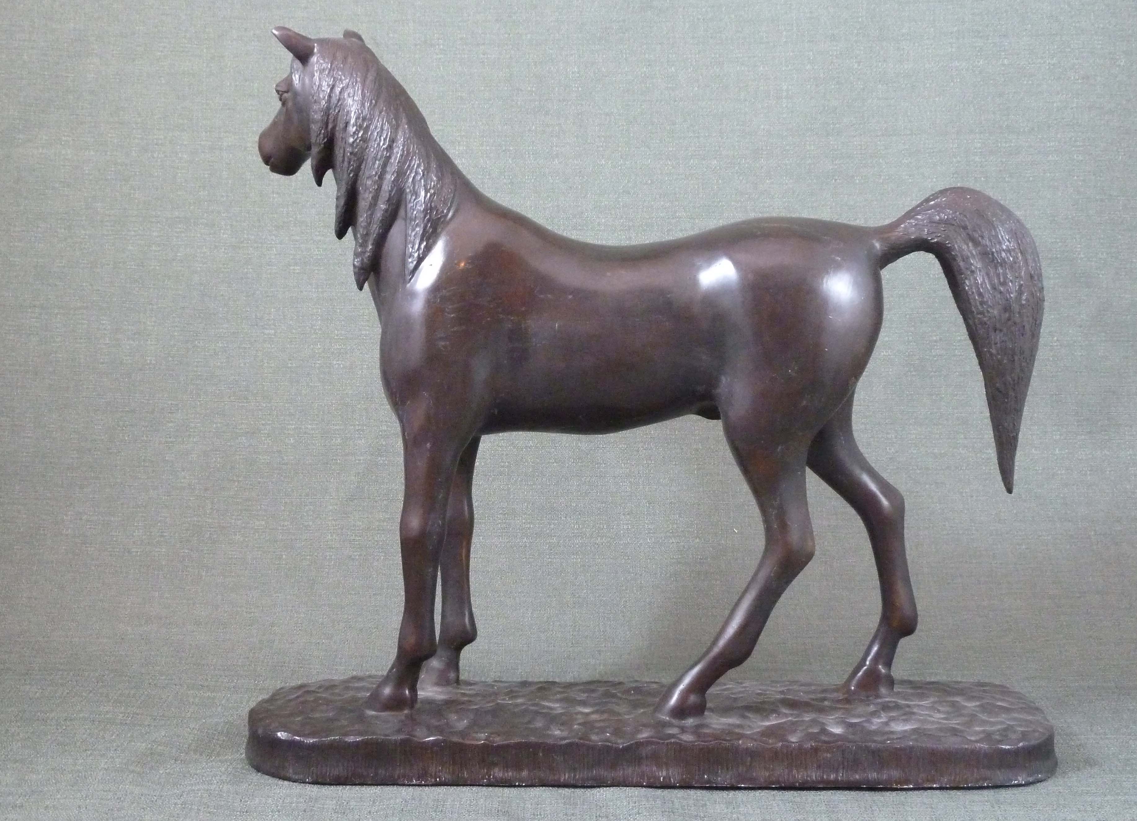 FC1164 Horse Standing B