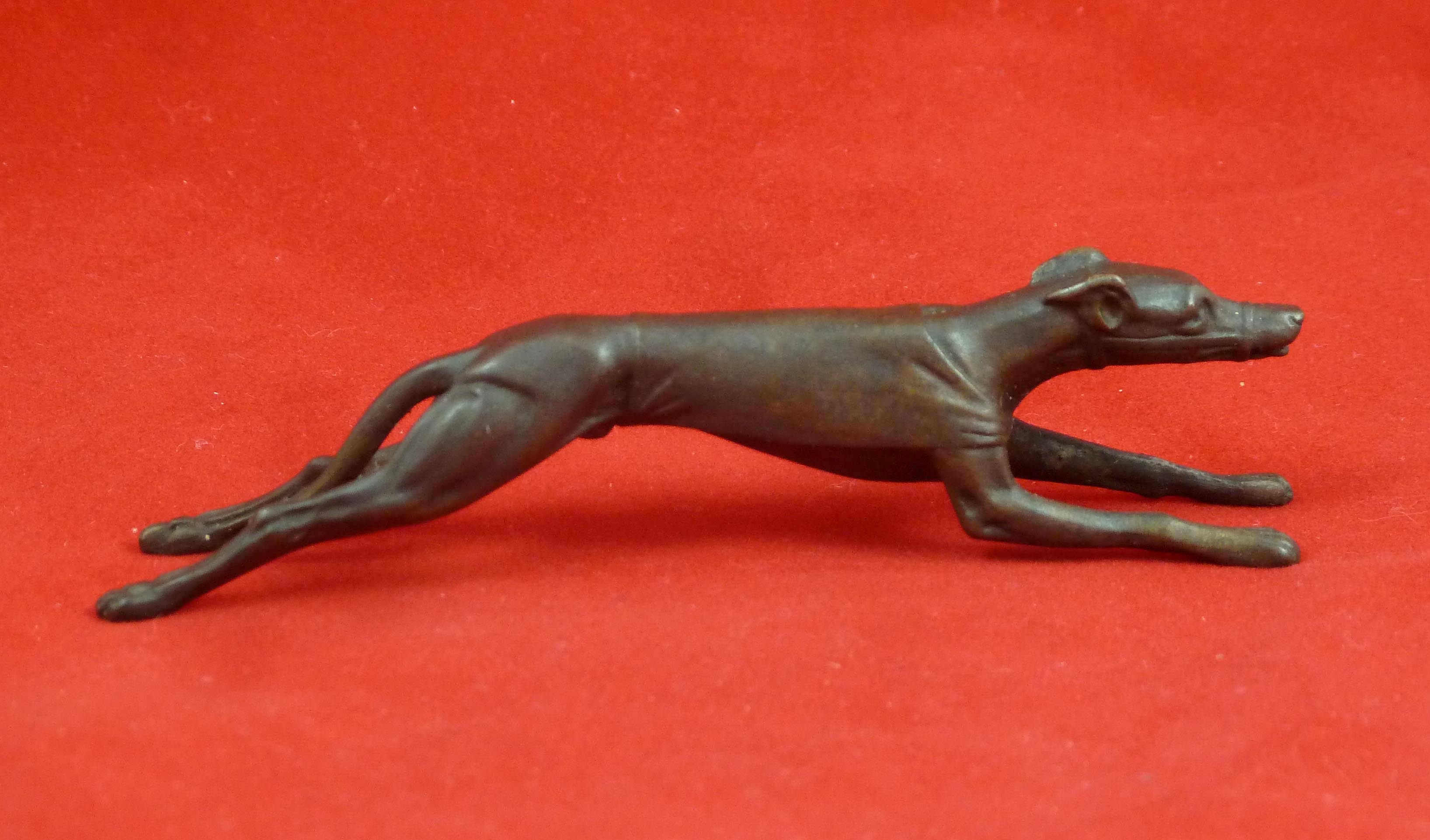 Racing Greyhound